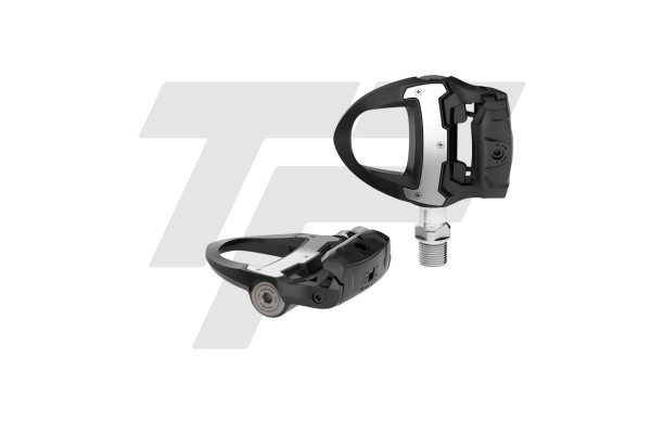 Garmin Rally RS110 