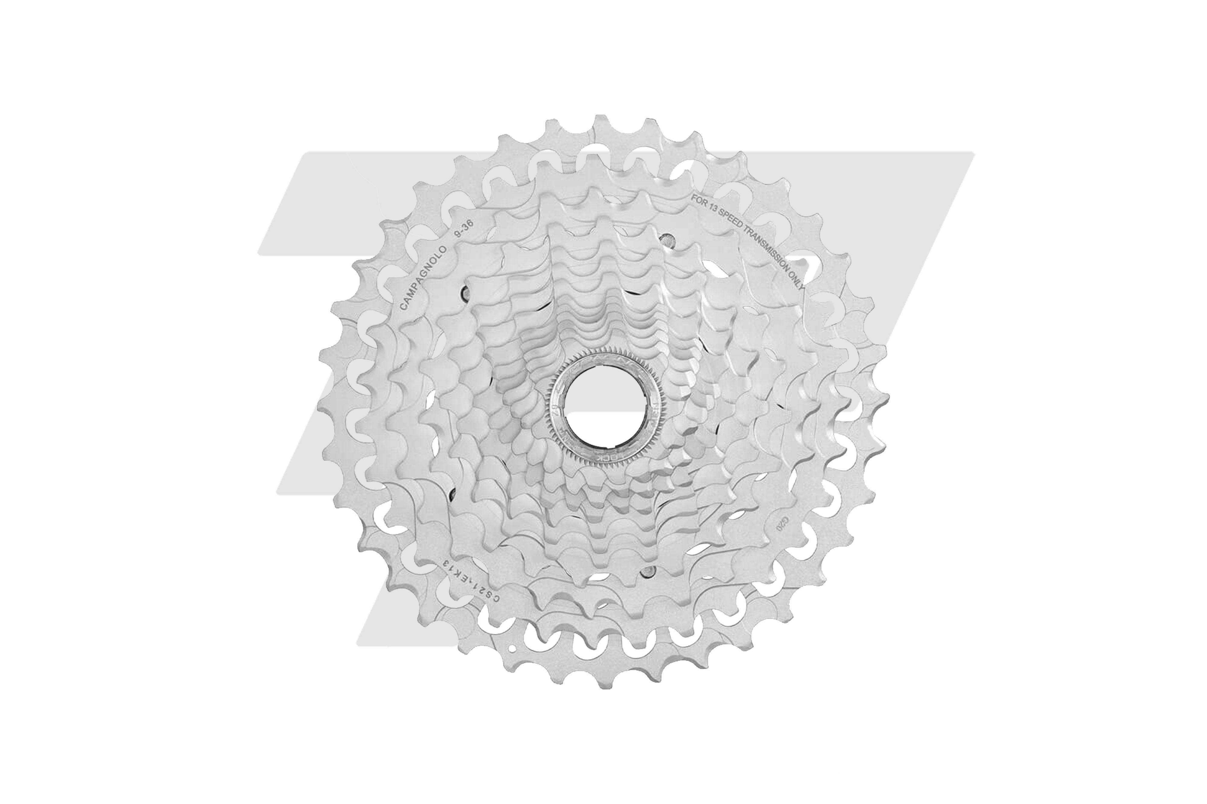 Campagnolo Pignoni Ekar 13v 