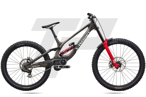 Specialized S-Works Demo 11 Sram XX SL DH AXS T-Type 12v Roval Traverse Gravity Alloy DB